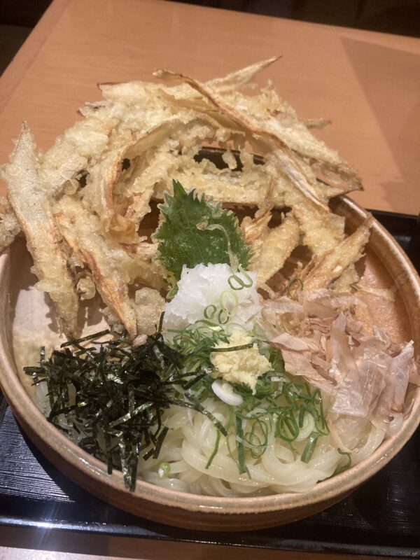 大地のうどん_ごぼう天ぶっかけ